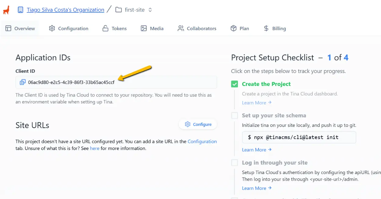 TinaCloud - client id